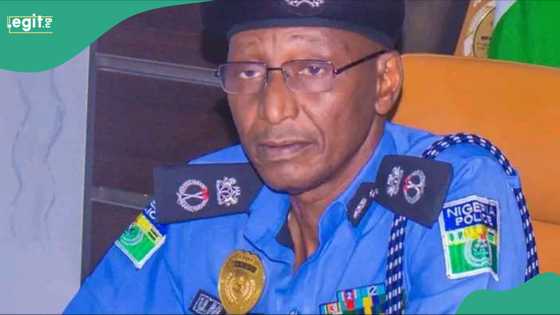 Yadda 'yan sandan Kano suka yi wawason 'yan daba sama da 3000 a shekara 1