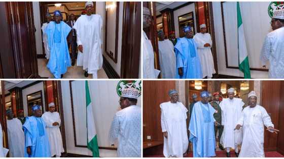 May 29: Photos emerge as Buhari conducts Tinubu round Aso Rock