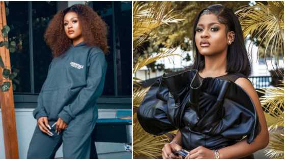 "Why're you forcing classy on me?" Phyna blasts netizens telling her to ignore reunion drama and move on
