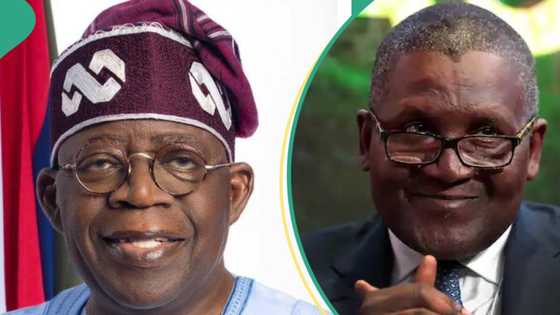 Tinubu congratulates Dangote on award of highest Senegalese national order