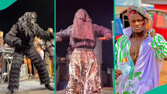 Video of Portable Zazu's entrance at his Lagos concert trends: "Na you collect Esusu costume?"