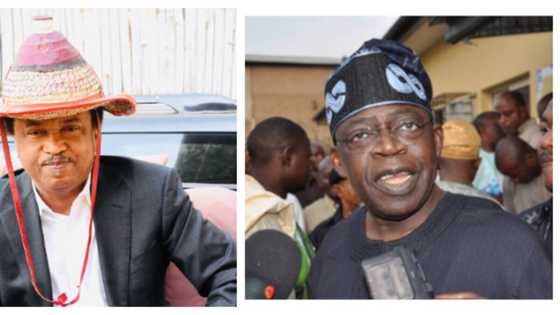 Advice for 2023? Get a trustworthy Hausa or Fulani Interpreter - Ex-PDP senator to Tinubu