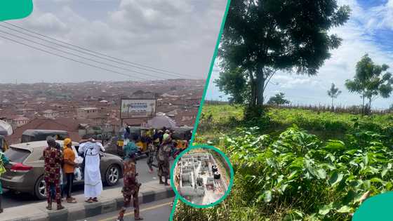 Nigeria’s Ibadan faces biodiversity strain as population surges