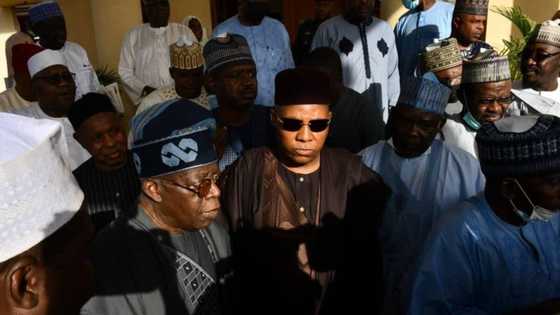 APC governors reveal position on Tinubu's choice of Shettima as running mate after meeting Buhari