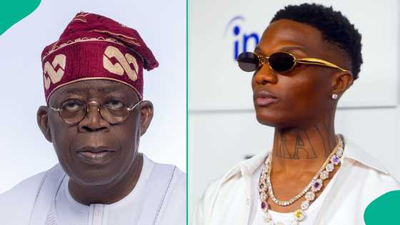 "Why did he lose?" Presidency questions Wizkid’s snub at major award after Coachella performance