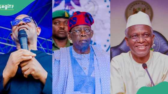 Zaben 2027: An bayyana abin da El-Rufa'i da Peter Obi za su yi wa Tinubu