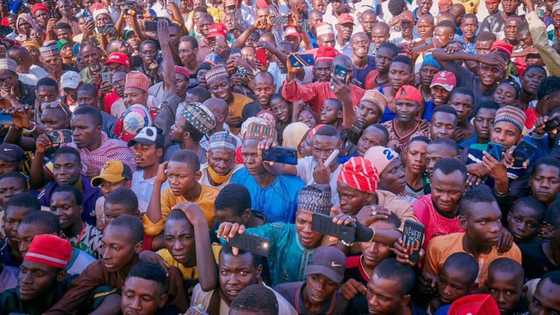 NNPP: Shugaban Jam’iyya Mai Kayan Dadi Ya Yi Murabus, Ya Fadi Wanda Ya Kore Shi