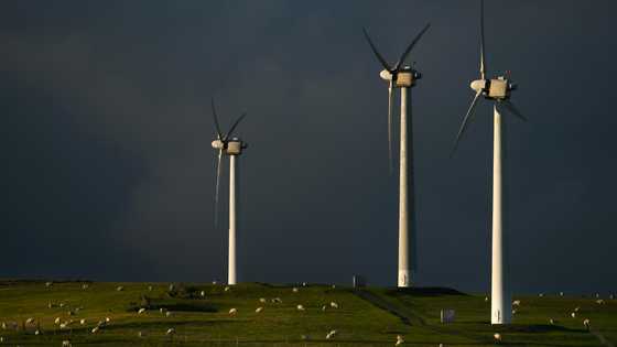 UK carbon emissions cut by half since 1990: experts