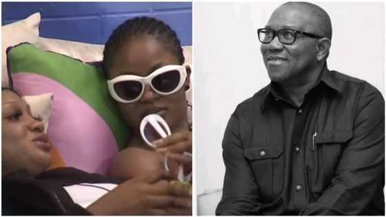 Peter Obi Vs BBNaija: 4 ways level up season will affect Labour Party presidential candidate