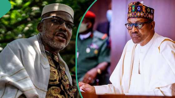 Why Buhari did not eliminate Nnamdi Kanu from his hideout, Femi Adesina reveals