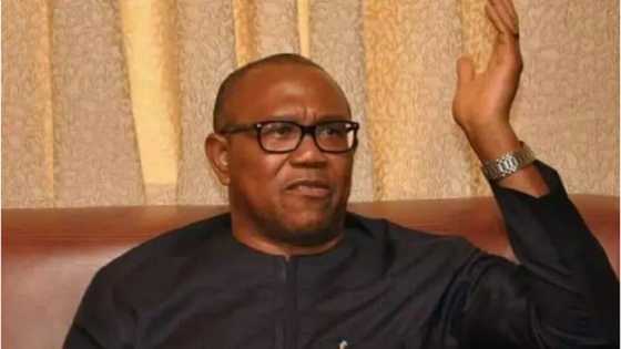 INEC announces final decision on Peter Obi's candidacy, Labour Party crisis
