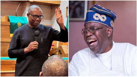 Tinubu or Peter Obi: APC group tackles LP flagbearer, says “may Peter Obi never happen to Nigeria”