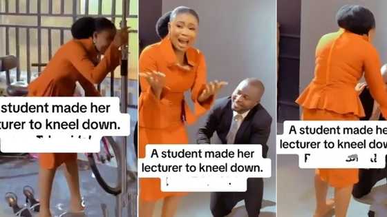 "Fear Edo girls": Pretty lady makes lecturer go on his knees in video as he proposes to her