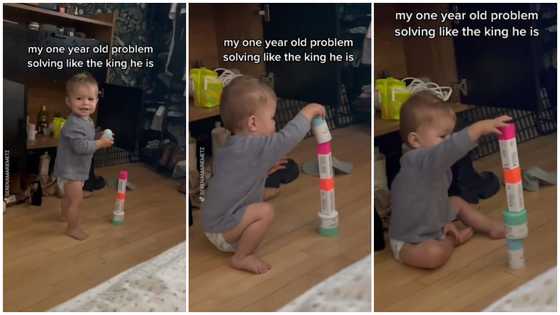 "That’s incredible!" Little baby's intelligent problem-solving skill stuns social media users, trends online