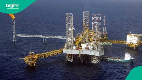 Major gas investment looms as FG scrutinises 215 projects for $20 billion funding