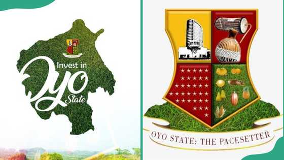 Oyo State job portal: a step-by-step guide to applying for government recruitment