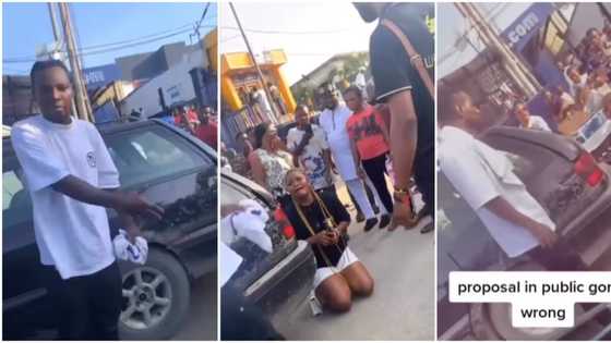 "She disgraced herself": Nigerian lady sheds tears as boyfriend rejects her public proposal in viral video