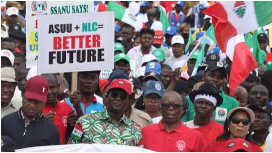 Kungiyar Kwadago ta Kasa ta Goyi Bayan ASUU, ta Bullo wa FG da Sabuwar Barazana