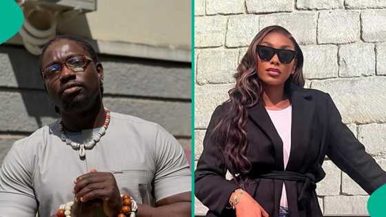 VDM slams Sophia Egbueje over acquisition of Lamborghini, wristwatch: "Show us milage"