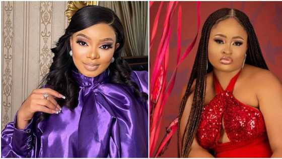 BBNaija Level Up: Queen applauds Amaka's attitude after shocking eviction by her fellow housemates