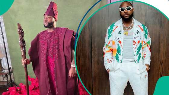 Davido plans to start car hiring service, fans taunts Wizkid:" Make he dey carry substance about"
