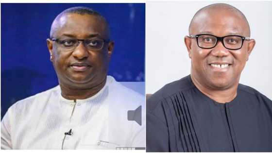 Just in: Festus Keyamo lists 10 main reasons why Tinubu, APC believes Peter Obi is deceiving Nigerians