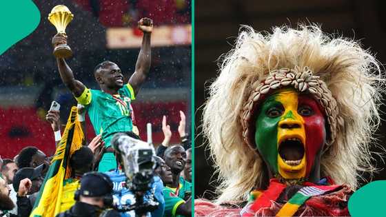 AFCON 2025: Prominent Moroccan politician accuses Senegal of 'voodoo' during controversial final, video