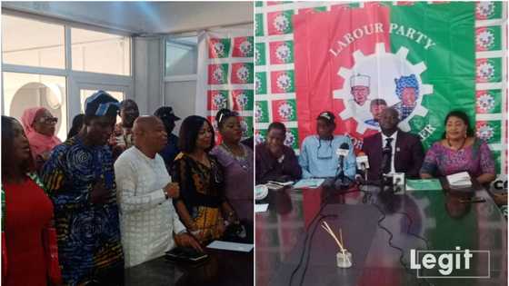 BREAKING: Peter Obi's Labour Party rejects presidential results, gives strong reason