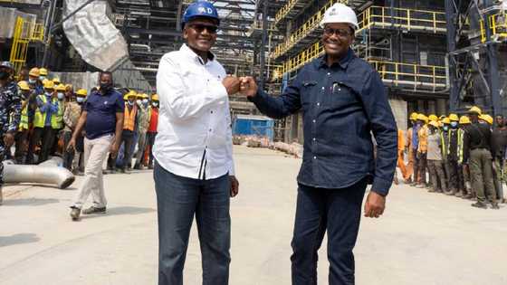 Matatar Dangote da za a karasa a 2022 za ta dauki mutum 38, 000 aiki - Shugaban AfDB