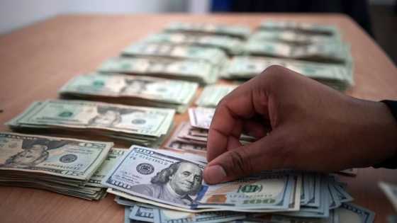 Naira makes biggest recovery in 4 years at the official market, sells for N742 per dollar