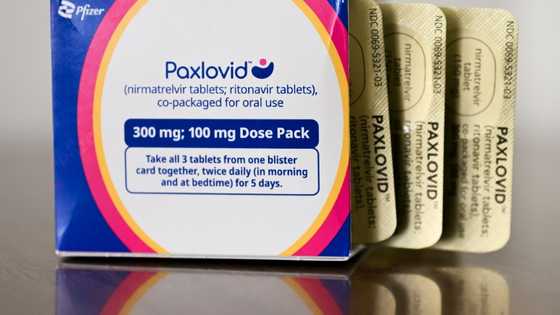 Pfizer profits dip on lower Paxlovid sales