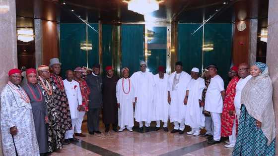 Daga haduwa da Buhari - Ngige ya bukaci a tsige wasu Sarakuna 12