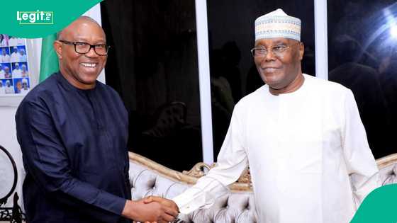 2027 elections: How Peter Obi can make Atiku step down for him, Labour Party chieftain explains