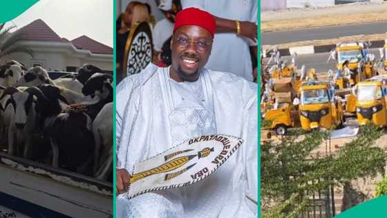 Obi Cubana receives 50 rams, 50 tricycles ahead of 50th birthday: "Record breaking party loading"
