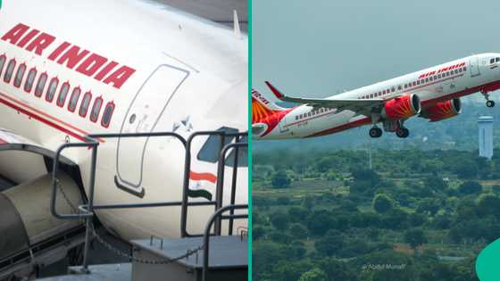 Another Air India flight under investigation as passengers fall sick, crew member collapses mid-air