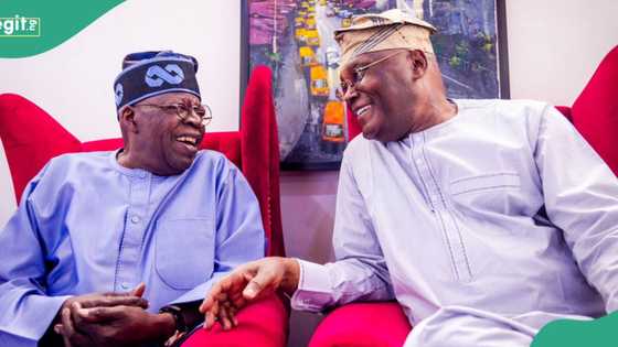 Concerns as Atiku refuses to release academic records after exposing Tinubu’s