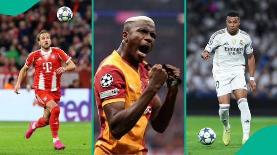 Osimhen joins Kane, Mbappe, Haaland in Champions League golden boot race