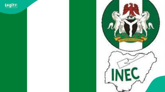 State suspends 2027 local government election process over court case