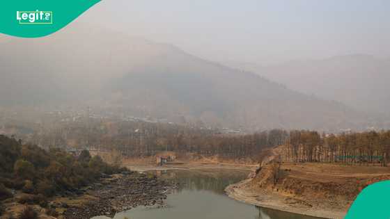 COP30: Young leaders across the world demand action as climate crisis deepens