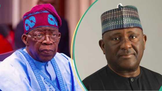 Billionaire Abdulsamad Rabiu rejects appointment to Tinubu's finance committee