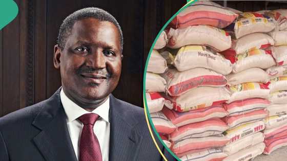 Aliko Dangote's foundation commences N13bn rice distribution to Nigerians