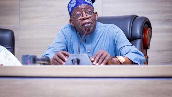 May 29: Why Tinubu must deliver? Political pundits speak as expectations heighten