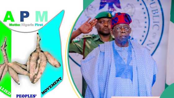 Zaben 2027: An yi hasashen gwamnan da zai lallasa Shugaba Tinubu