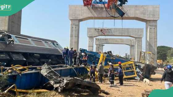 22 confirmed dead as heavy construction crane collapses on train carrying 195 passengers