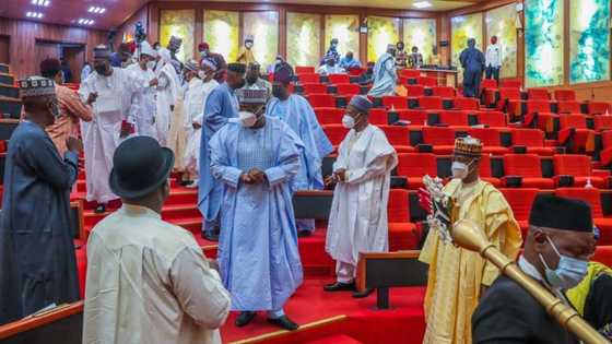 Electoral Act: Chaos in Senate over electronic transmission of election result