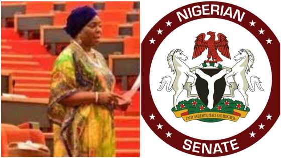 Child marriage: Senators' wives cry out, reject bill limiting marriage age to 18, give reason