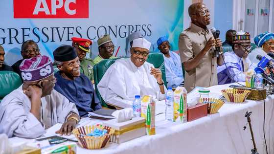 We are better off together than being apart - APC lists Buhari's 6 achievements as Nigeria marks 59th independence