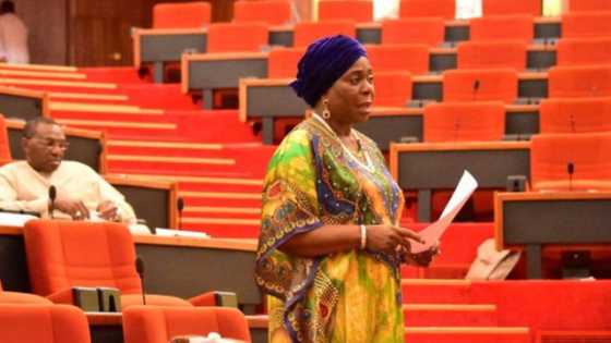 Ekiti 2022: PDP stakeholders ask Senator Olujimi to take over from Governor Fayemi