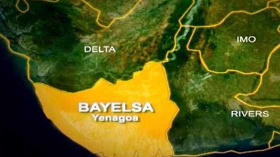 Just in: Tension as gunmen kidnap former president Jonathan’s cousin in Bayelsa