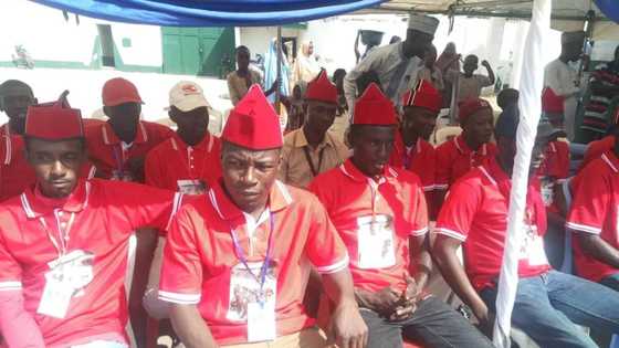 Matasan Kebbi sun kammala kidaya: Duba yawan kwayar gero da ke cikin buhu daya